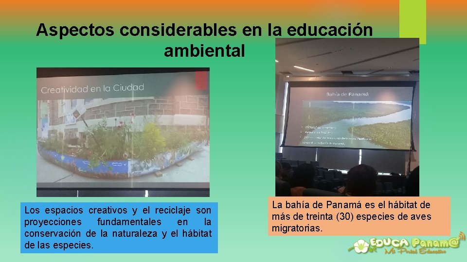 Aspectos considerables en la educación ambiental Los espacios creativos y el reciclaje son proyecciones