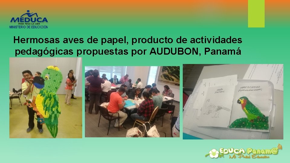 Hermosas aves de papel, producto de actividades pedagógicas propuestas por AUDUBON, Panamá 