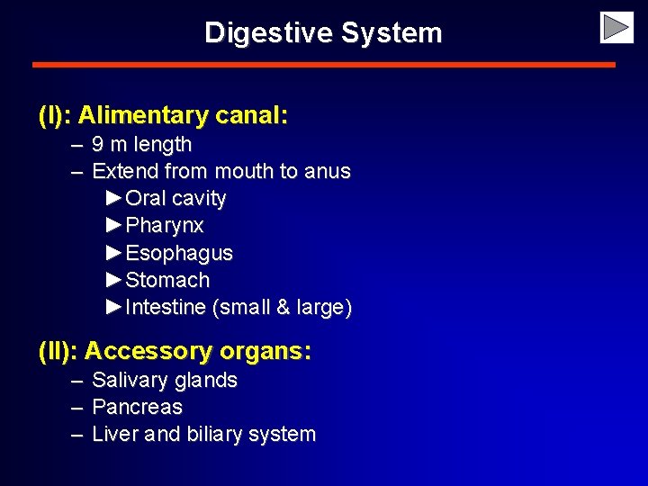 Digestive System (I): Alimentary canal: – 9 m length – Extend from mouth to