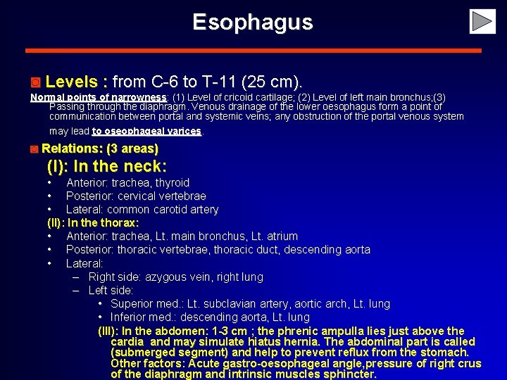 Esophagus ◙ Levels : from C-6 to T-11 (25 cm). Normal points of narrowness: