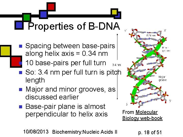 Properties of B-DNA n n n Spacing between base-pairs along helix axis = 0.