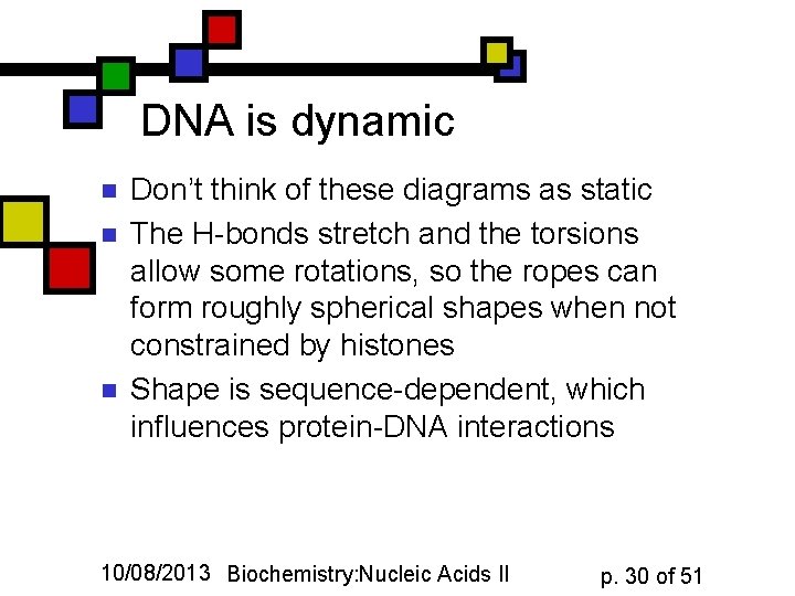 DNA is dynamic n n n Don’t think of these diagrams as static The