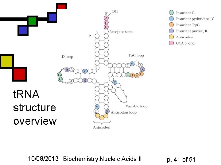 t. RNA structure: overview 10/08/2013 Biochemistry: Nucleic Acids II p. 41 of 51 