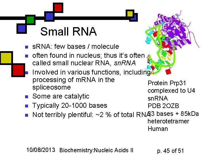 Small RNA n n n s. RNA: few bases / molecule often found in