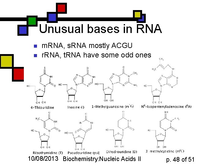 Unusual bases in RNA n n m. RNA, s. RNA mostly ACGU r. RNA,