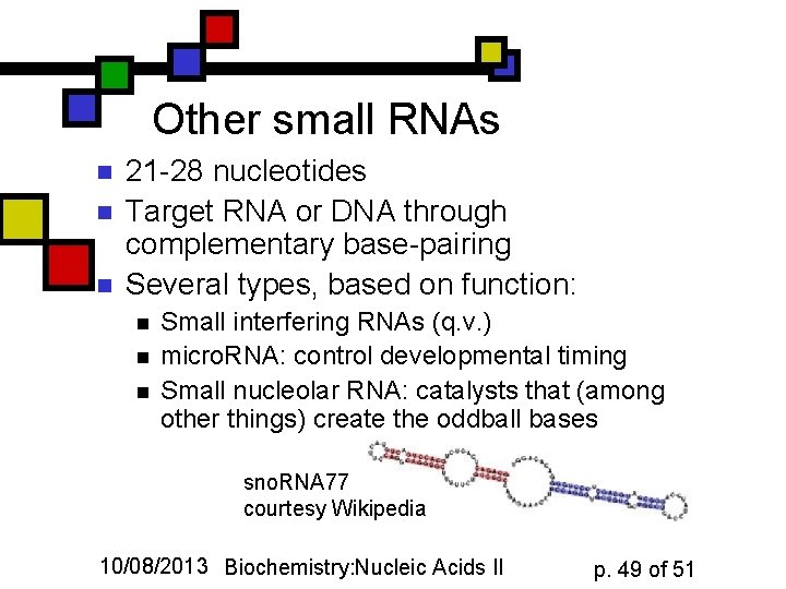 Other small RNAs n n n 21 -28 nucleotides Target RNA or DNA through