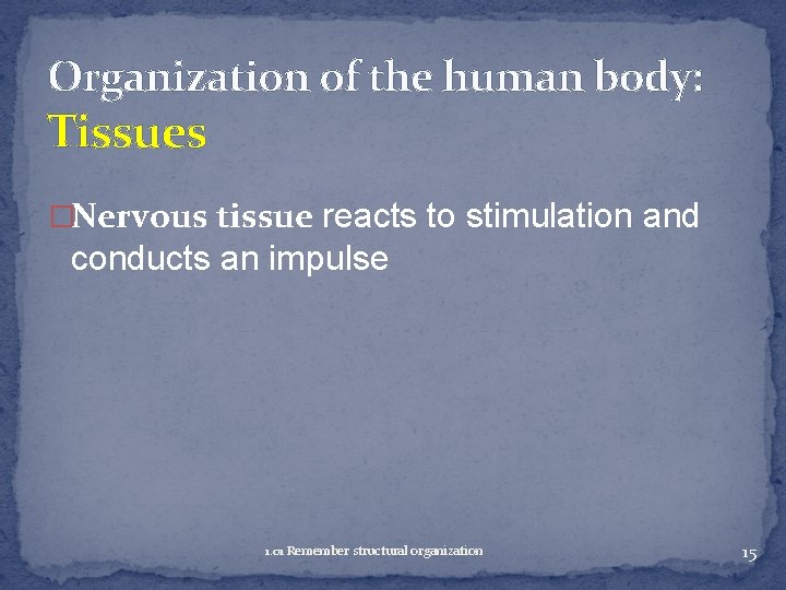 Organization of the human body: Tissues �Nervous tissue reacts to stimulation and conducts an
