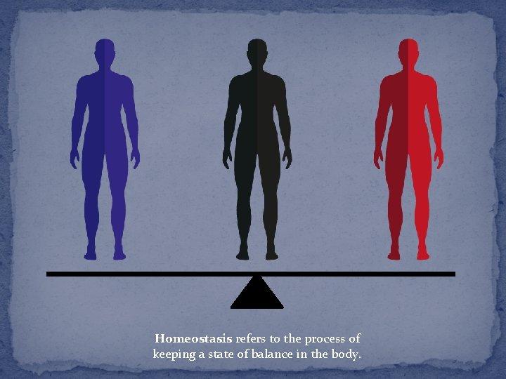 Homeostasis refers to the process of keeping a state of balance in the body.