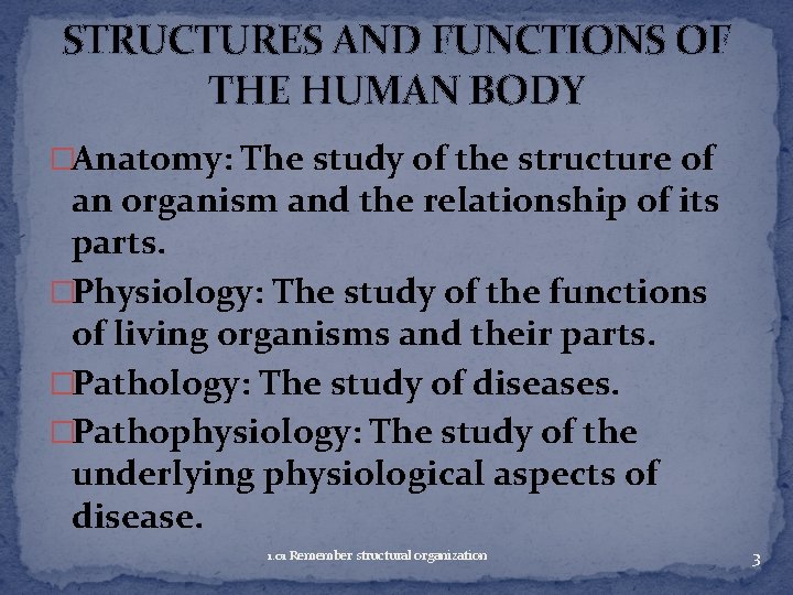 STRUCTURES AND FUNCTIONS OF THE HUMAN BODY �Anatomy: The study of the structure of