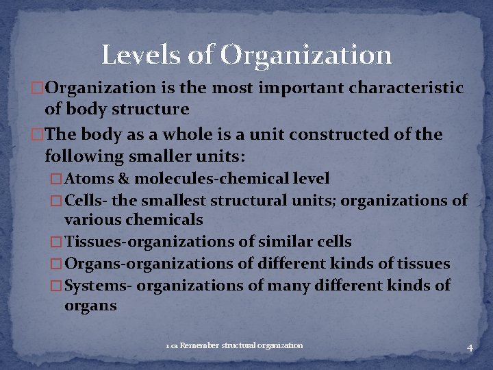 Levels of Organization �Organization is the most important characteristic of body structure �The body