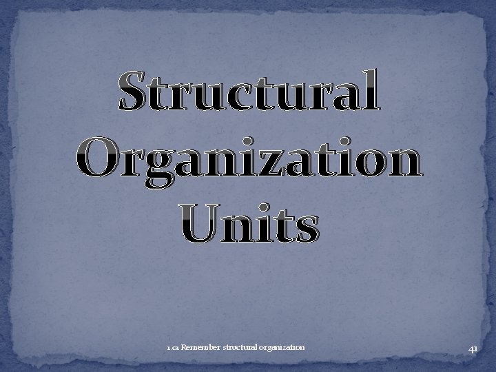 Structural Organization Units 1. 01 Remember structural organization 41 