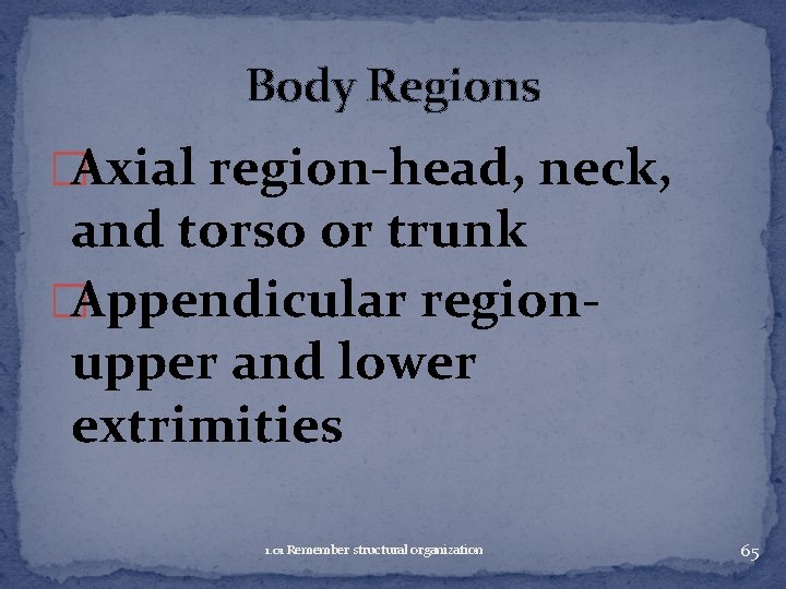 Body Regions �Axial region-head, neck, and torso or trunk �Appendicular regionupper and lower extrimities