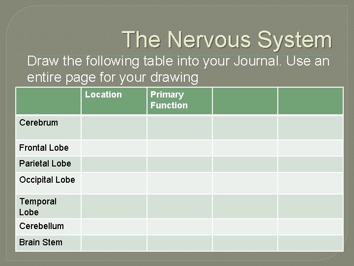 The Nervous System Draw the following table into your Journal. Use an entire page