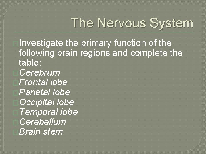 The Nervous System �Investigate the primary function of the following brain regions and complete