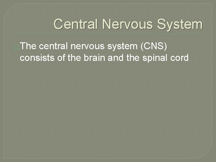 Central Nervous System �The central nervous system (CNS) consists of the brain and the