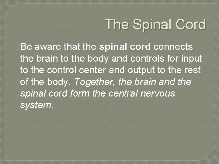 The Spinal Cord �Be aware that the spinal cord connects the brain to the