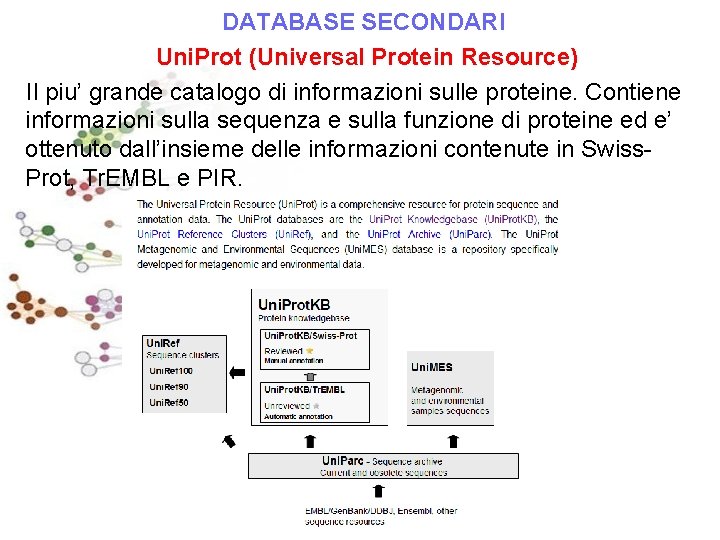 DATABASE SECONDARI Uni. Prot (Universal Protein Resource) Il piu’ grande catalogo di informazioni sulle
