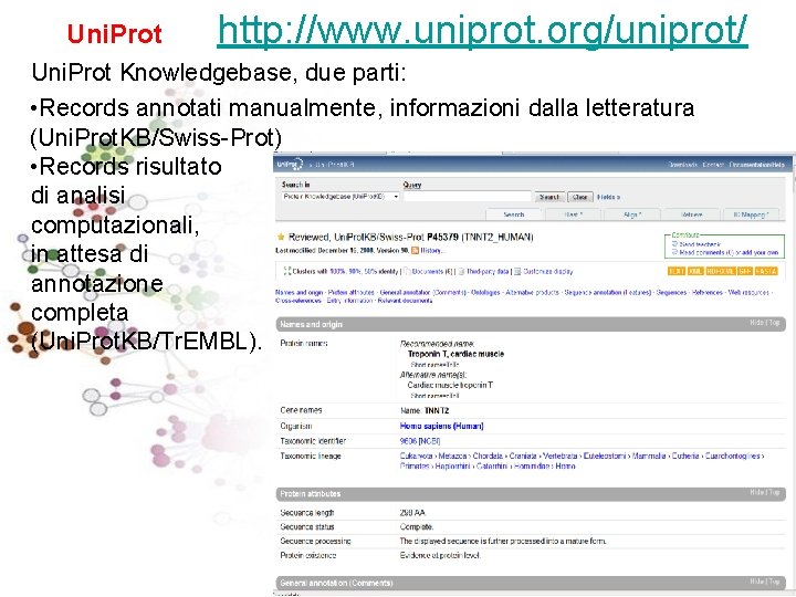 Uni. Prot http: //www. uniprot. org/uniprot/ Uni. Prot Knowledgebase, due parti: • Records annotati