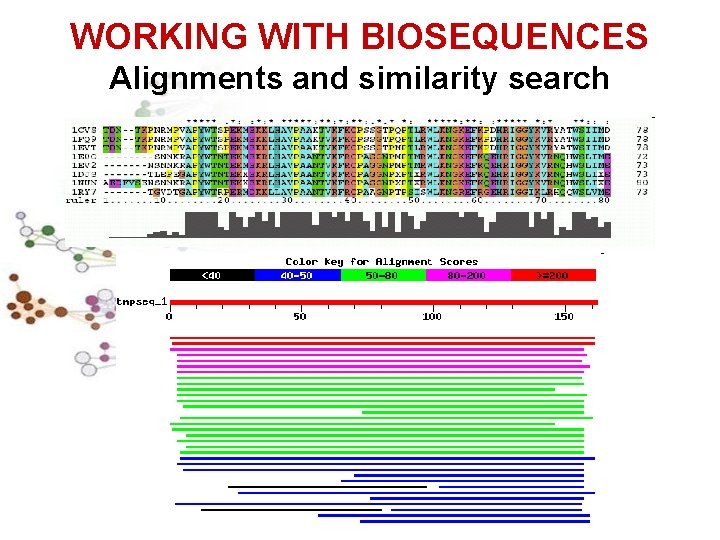 WORKING WITH BIOSEQUENCES Alignments and similarity search 