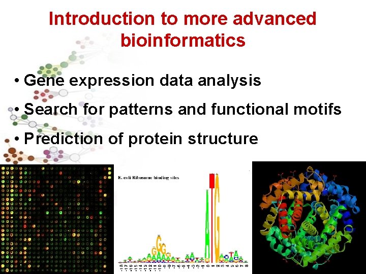 Introduction to more advanced bioinformatics • Gene expression data analysis • Search for patterns