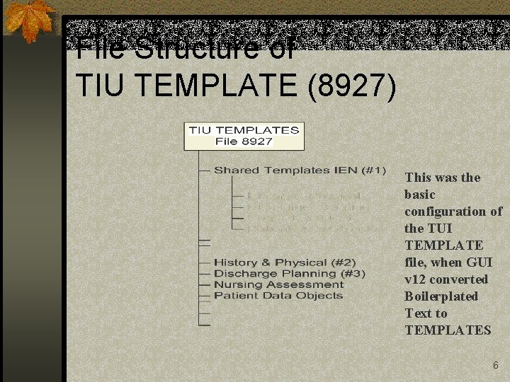 File Structure of TIU TEMPLATE (8927) This was the basic configuration of the TUI