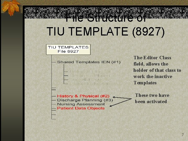 File Structure of TIU TEMPLATE (8927) The Editor Class field, allows the holder of