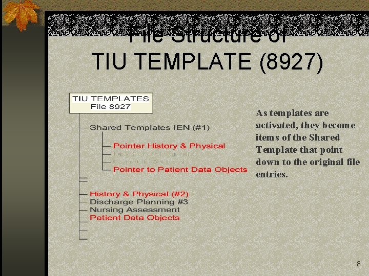 File Structure of TIU TEMPLATE (8927) As templates are activated, they become items of