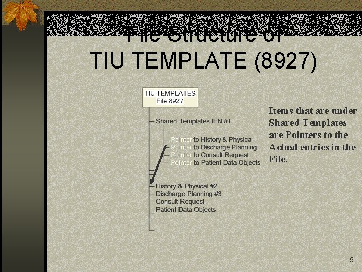 File Structure of TIU TEMPLATE (8927) Items that are under Shared Templates are Pointers