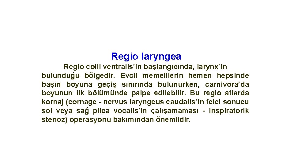 Regio laryngea Regio colli ventralis’in başlangıcında, larynx’in bulunduğu bölgedir. Evcil memelilerin hemen hepsinde başın