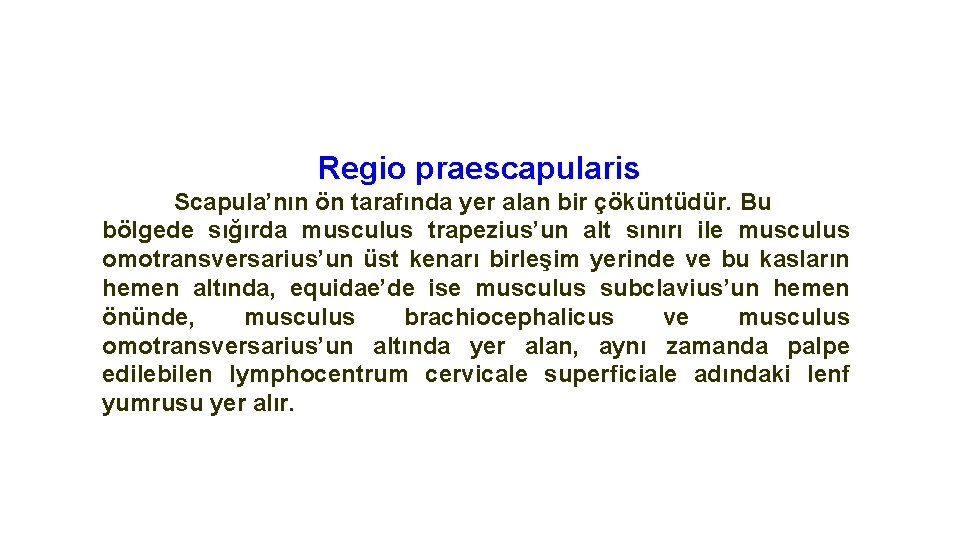Regio praescapularis Scapula’nın ön tarafında yer alan bir çöküntüdür. Bu bölgede sığırda musculus trapezius’un