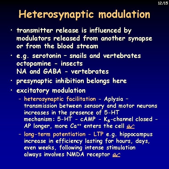 12/15 Heterosynaptic modulation • transmitter release is influenced by modulators released from another synapse