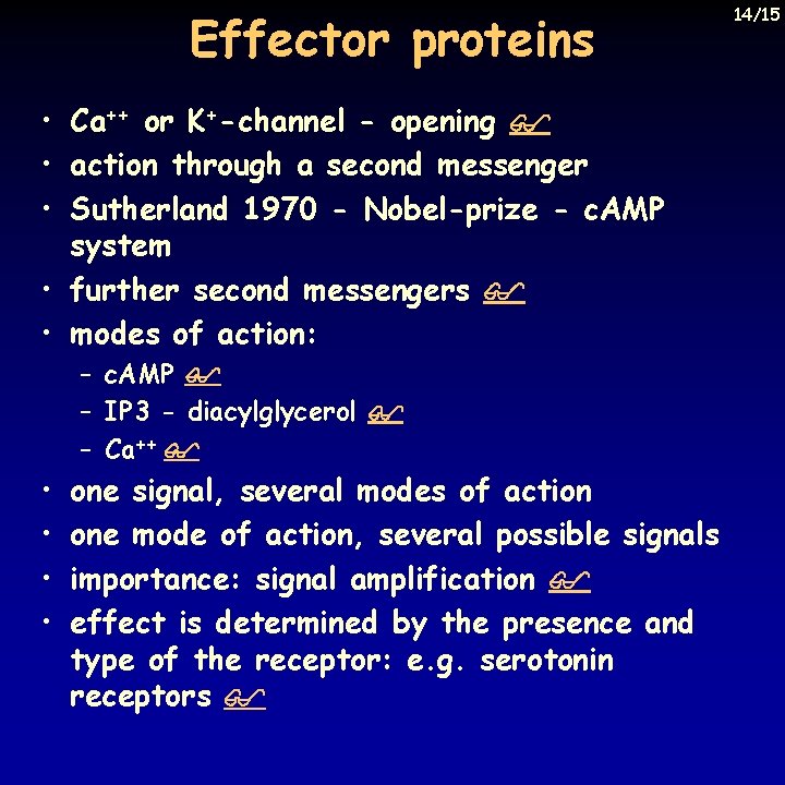 Effector proteins • Ca++ or K+-channel - opening • action through a second messenger