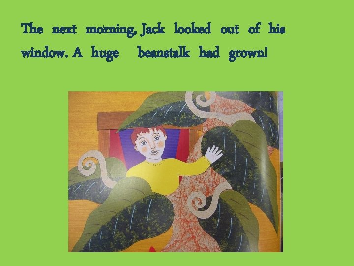 The next morning, Jack looked out of his window. A huge beanstalk had grown!