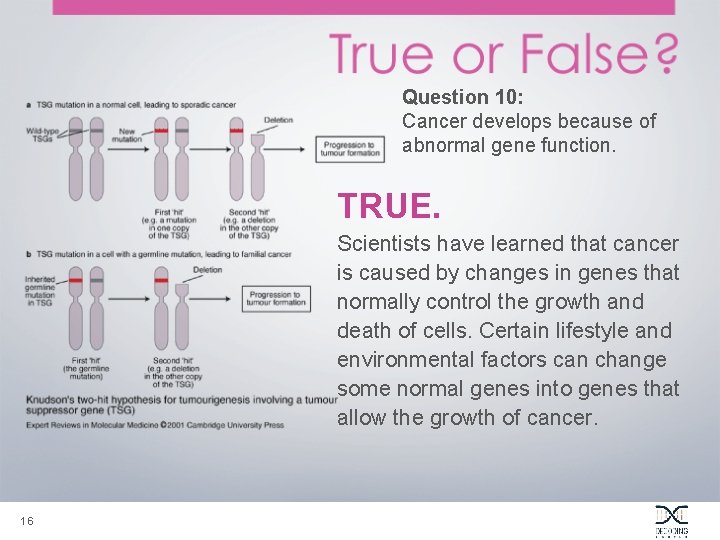 Question 10: Cancer develops because of abnormal gene function. TRUE. Scientists have learned that