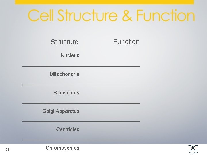 Structure Function Nucleus _____________________ Mitochondria _____________________ Ribosomes _____________________ Golgi Apparatus _____________________ Centrioles _____________________ 26