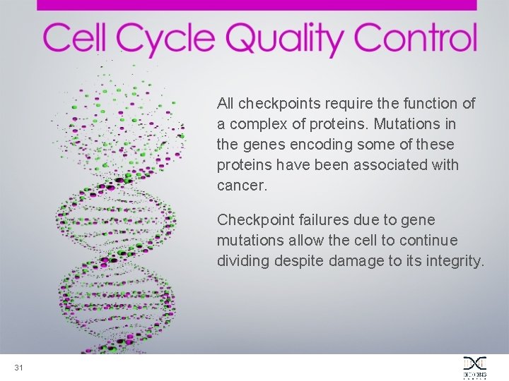 All checkpoints require the function of a complex of proteins. Mutations in the genes