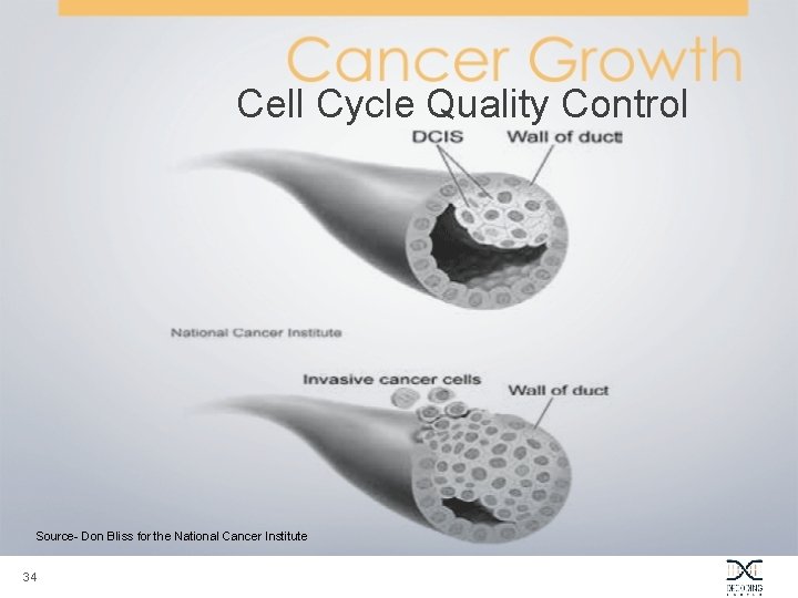 Cell Cycle Quality Control Source- Don Bliss for the National Cancer Institute 34 