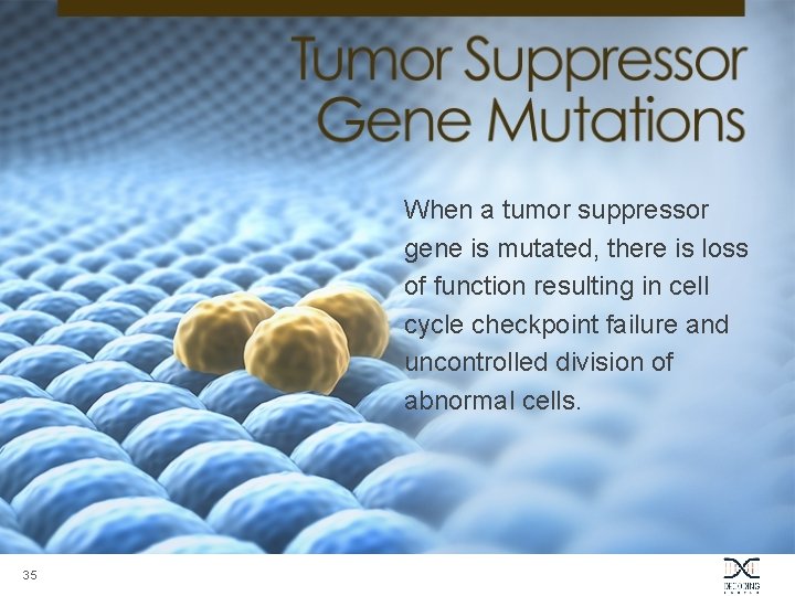 When a tumor suppressor gene is mutated, there is loss of function resulting in