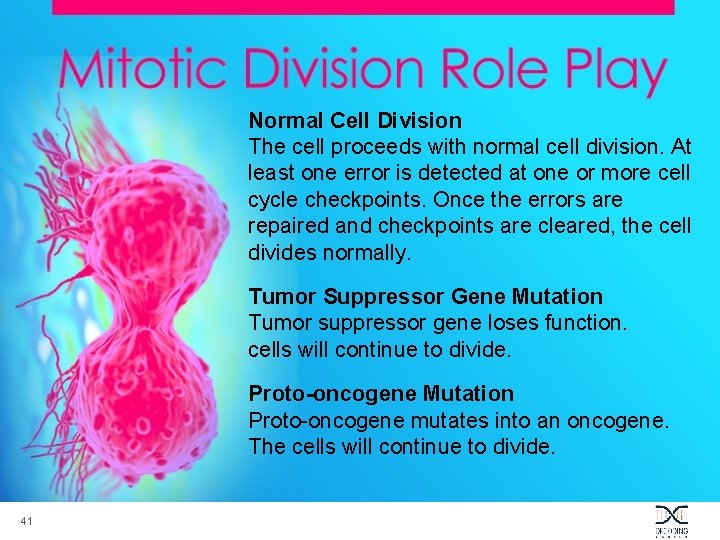 Normal Cell Division The cell proceeds with normal cell division. At least one error