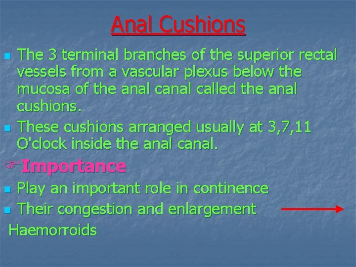 Anal Cushions n n The 3 terminal branches of the superior rectal vessels from