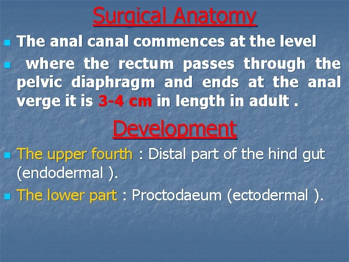 Surgical Anatomy n n The anal commences at the level where the rectum passes