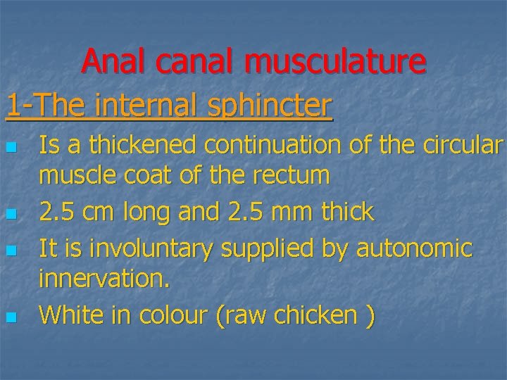 Anal canal musculature 1 -The internal sphincter n n Is a thickened continuation of