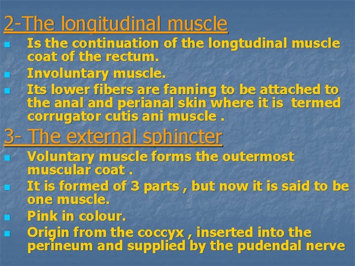 2 -The longitudinal muscle n n n Is the continuation of the longtudinal muscle