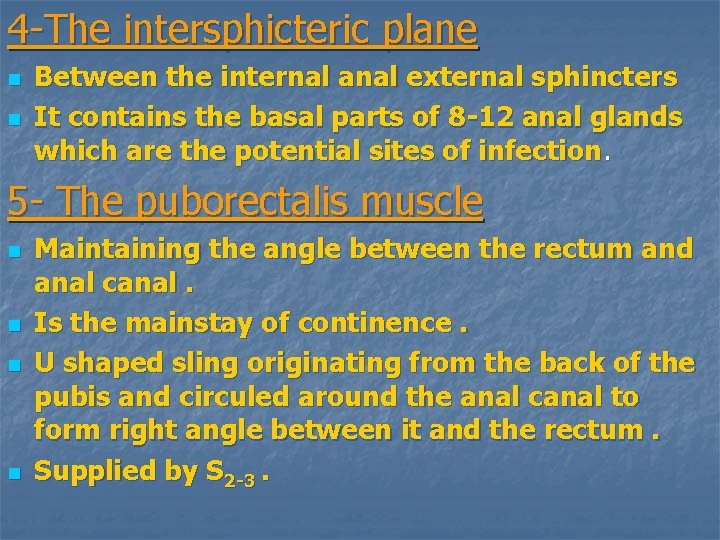 4 -The intersphicteric plane n n Between the internal anal external sphincters It contains