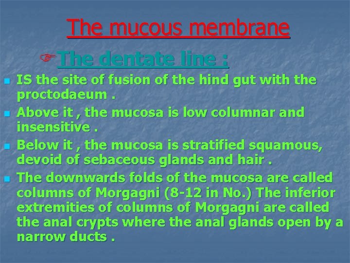 The mucous membrane FThe dentate line : n n IS the site of fusion
