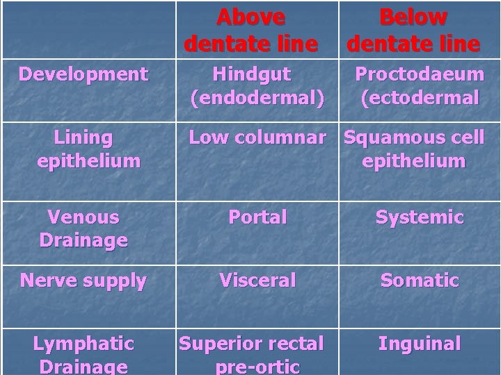 Above dentate line Development Lining epithelium Hindgut (endodermal) Below dentate line Proctodaeum (ectodermal Low