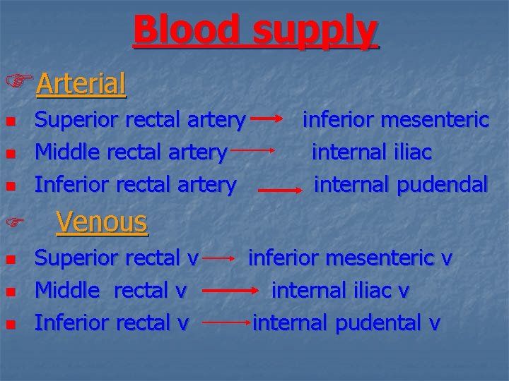 Blood supply FArterial n n n F n n n Superior rectal artery Middle