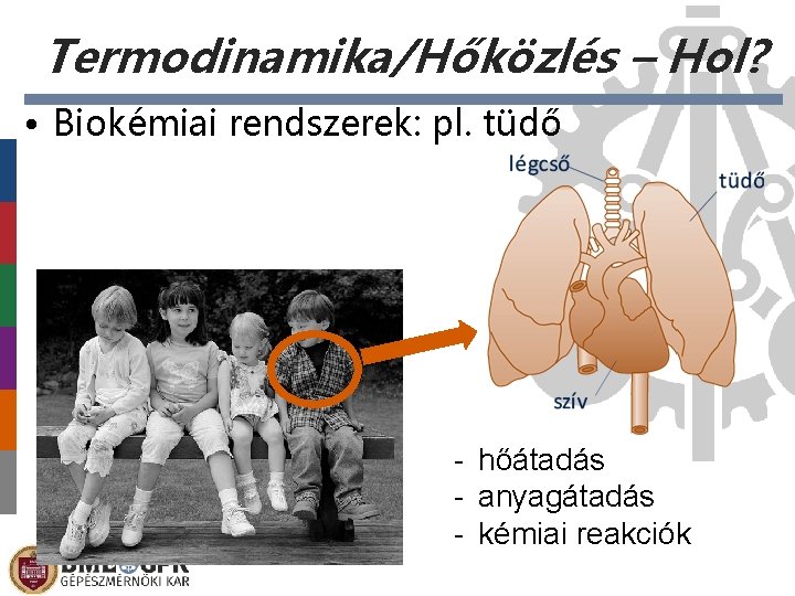 Termodinamika/Hőközlés – Hol? • Biokémiai rendszerek: pl. tüdő - hőátadás - anyagátadás - kémiai