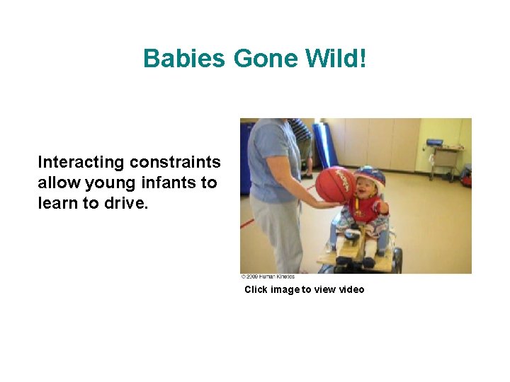 Babies Gone Wild! Interacting constraints allow young infants to learn to drive. Click image