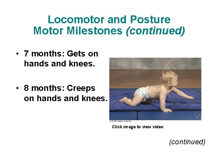 Locomotor and Posture Motor Milestones (continued) • 7 months: Gets on hands and knees.